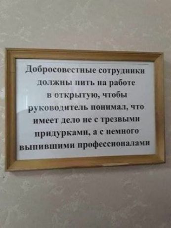 Добросовестные сотрудники должны пить на работе в открытую, чтобы руководитель понимал, что имеет дело не с трезвыми придурками, а с немного выпившими профессионалами