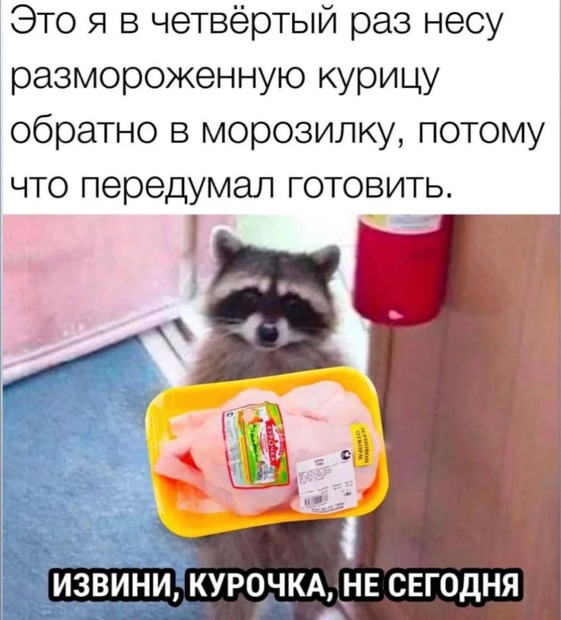 Это я в четвертый раз несу размороженную курицу обратно в морозилку, потому что передумал готовить.\nИЗВИНИ, КУРОчКА, НЕ СЕГОДНЯ