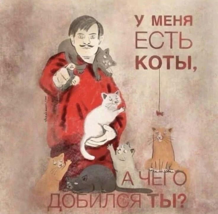 У МЕНЯ ЕСТЬ КОТЫ, А ЧЕГО ДОБИЛСЯ ТЫ?