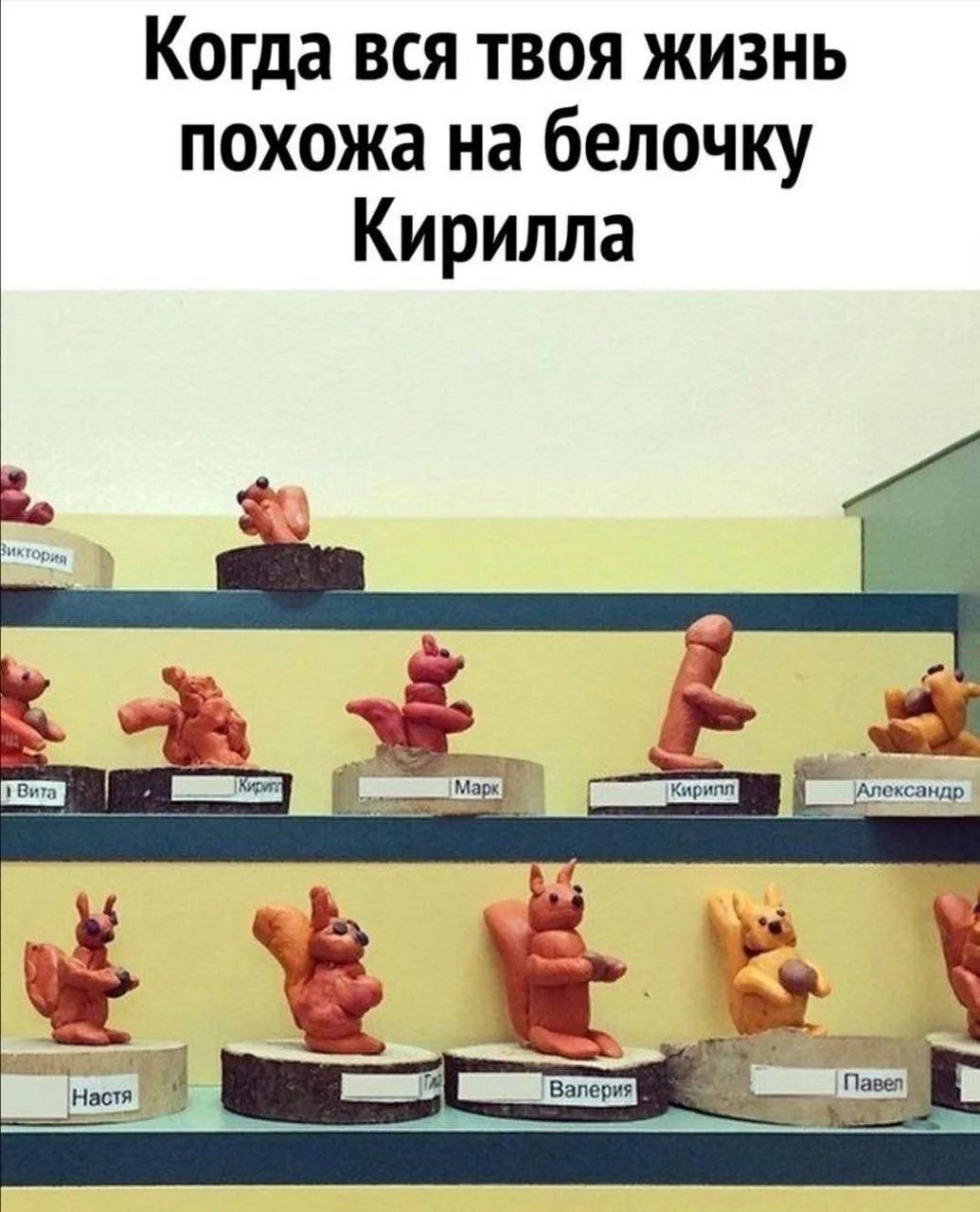 Когда вся твоя жизнь похожа на белочку Кирилла