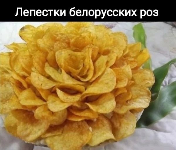 Лепестки белорусских роз