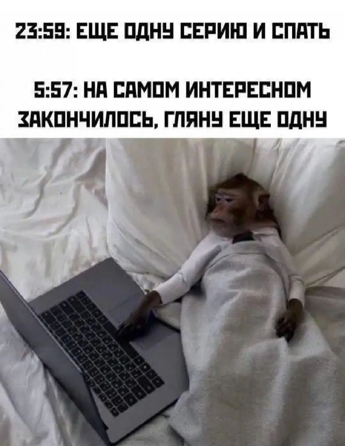 23:59: ЕЩЕ ОДНУ СЕРИЮ И СПАТЬ
5:57: НА САМОМ ИНТЕРЕСНОМ ЗАКОНЧИЛОСЬ, ГЛЯНУ ЕЩЕ ОДНУ