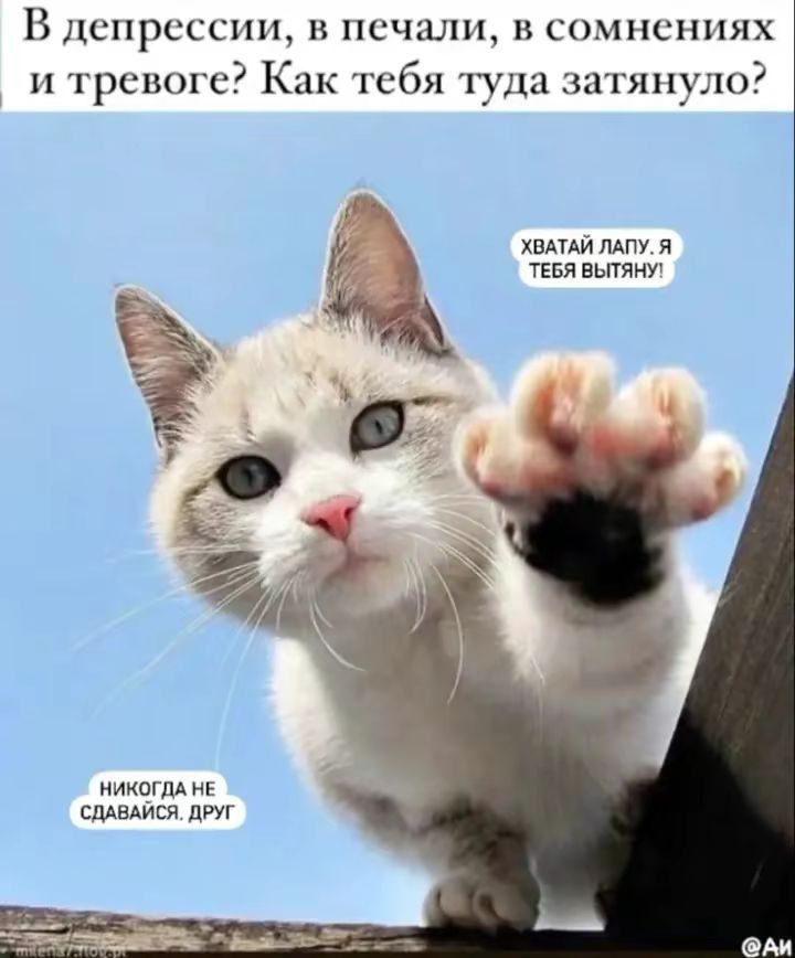 В депрессии, в печали, в сомнениях и тревоге? Как тебя туда затянуло? ХВАТАЙ ЛАПУ. Я ТЕБЯ ВЫТЯНУ! НИКОГДА НЕ СДАВАЙСЯ. ДРУГ