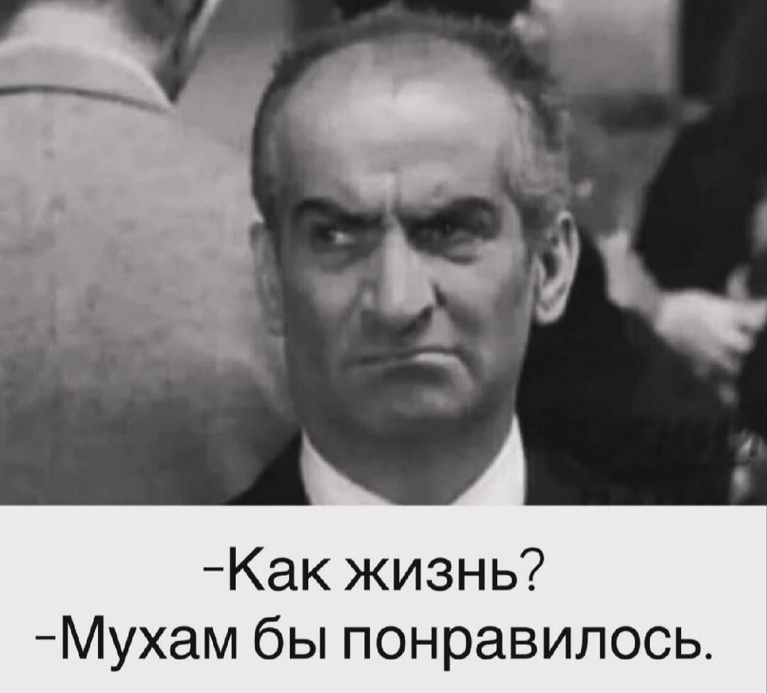 -Как жизнь? -Мухам бы понравилось.