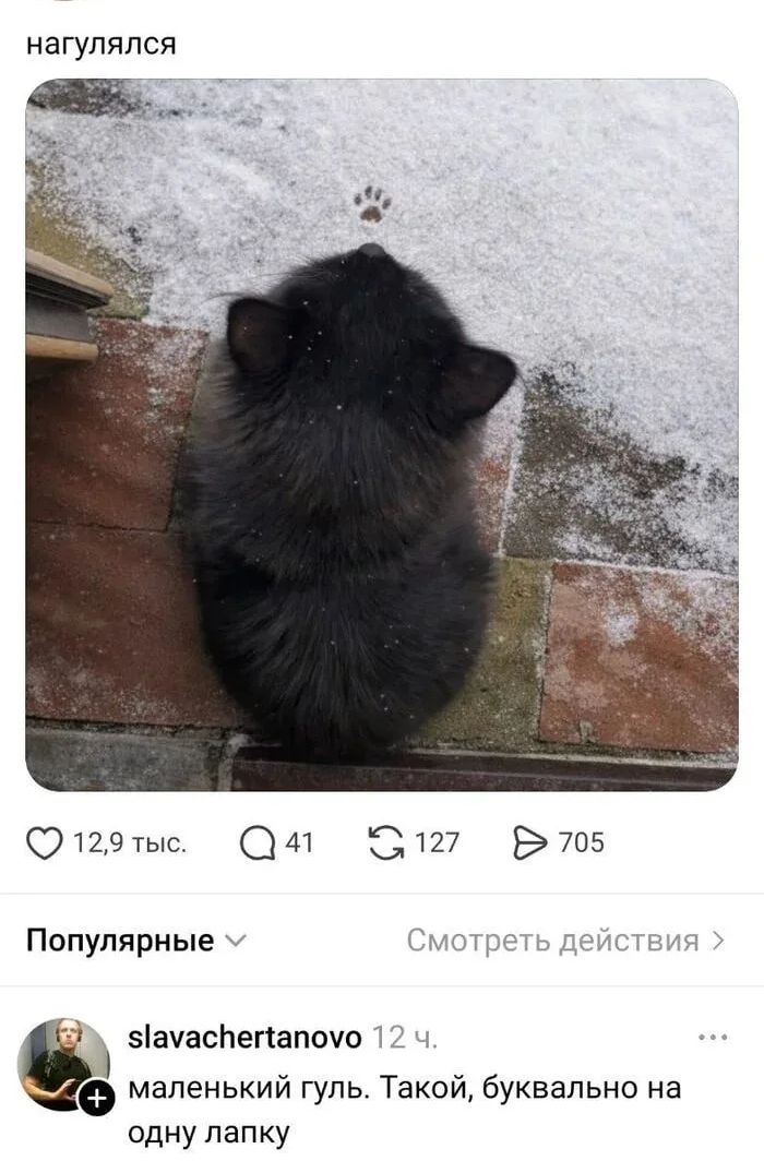 нагулялся маленький гуль. Такой, буквально на одну лапку