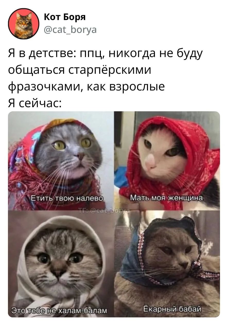 Кот Боря @cat_borya Я в детстве: ппц, никогда не буду общаться старпёрскими фразочками, как взрослые Я сейчас: Етить твою налево Мать моя женщина ТГ: @cat_borya Это тебе не халам-балам Ёкарный бабай