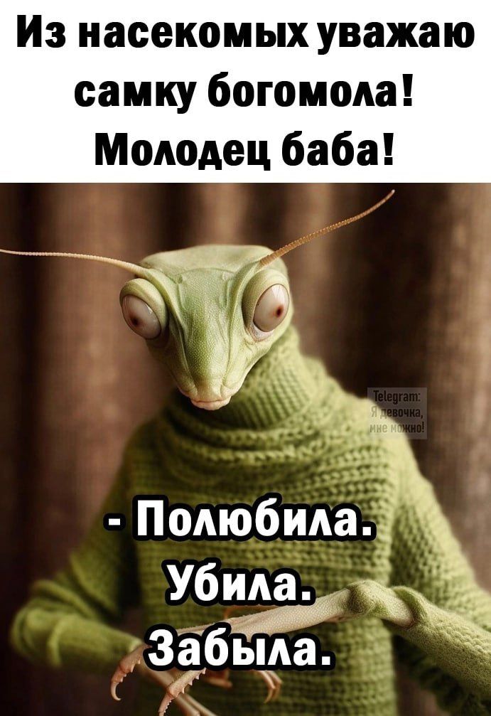 Из насекомых уважаю самку богомола! Молодец баба! Telegram: Я девочка, мне можно! - Полюбила. Убила. Забыла.