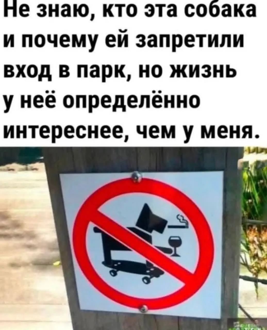 Не знаю, кто эта собака и почему ей запретили вход в парк, но жизнь у неё определённо интереснее, чем у меня.