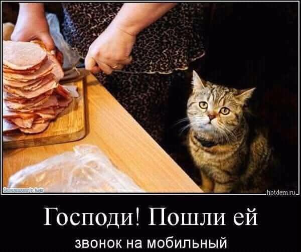 Господи! Пошли ей звонок на мобильный