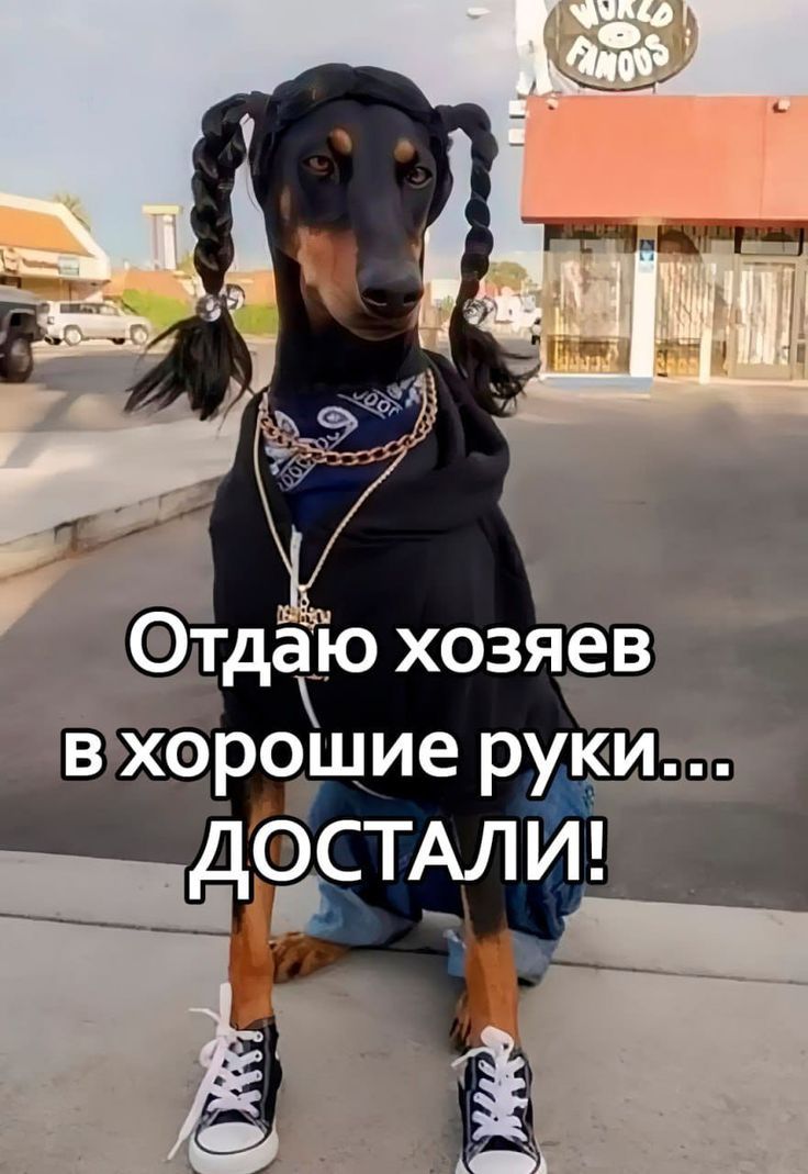 Отдаю хозяев в хорошие руки... ДОСТАЛИ!