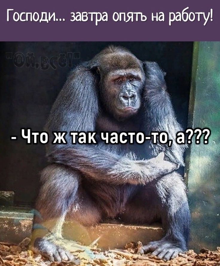 Господи... завтра опять на работу! - Что ж так часто-то, а???