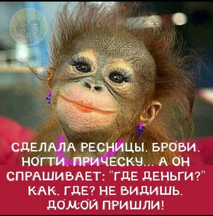 СДЕЛАЛА РЕСНИЦЫ. БРОВИ. НОГТИ. ПРИЧЕСКУ... А ОН СПРАШИВАЕТ: 