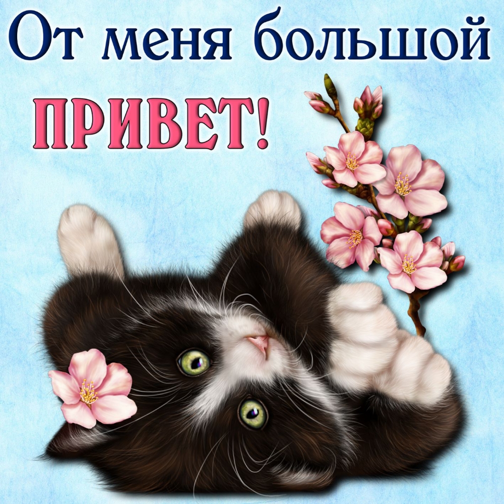 От меня большой В ь