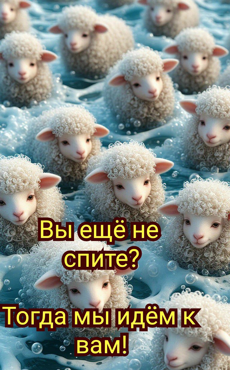 Вы ещё не спите? Тогда мы идём к вам!