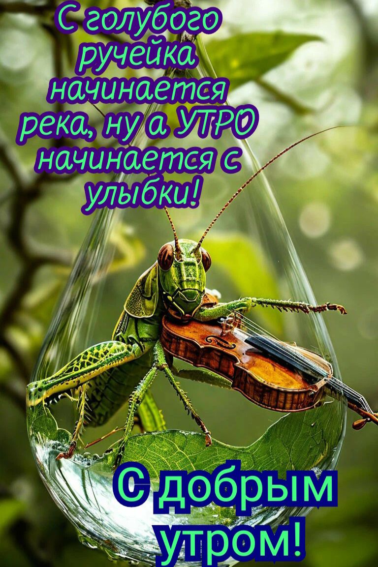 С голубого ручейка начинается река, ну а УТРО начинается с улыбки! С добрым утром!