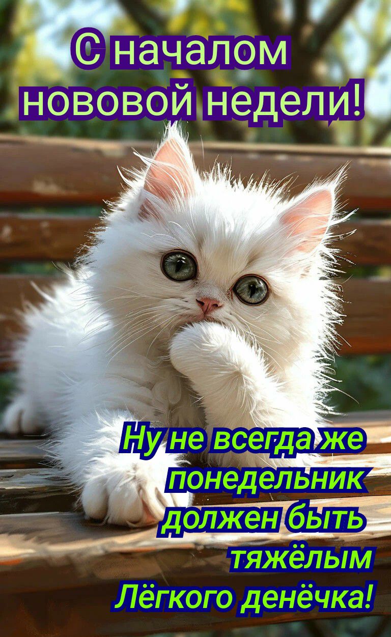 С началом новой недели!
Ну не всегда же понедельник должен быть тяжёлым. Лёгкого денечка!