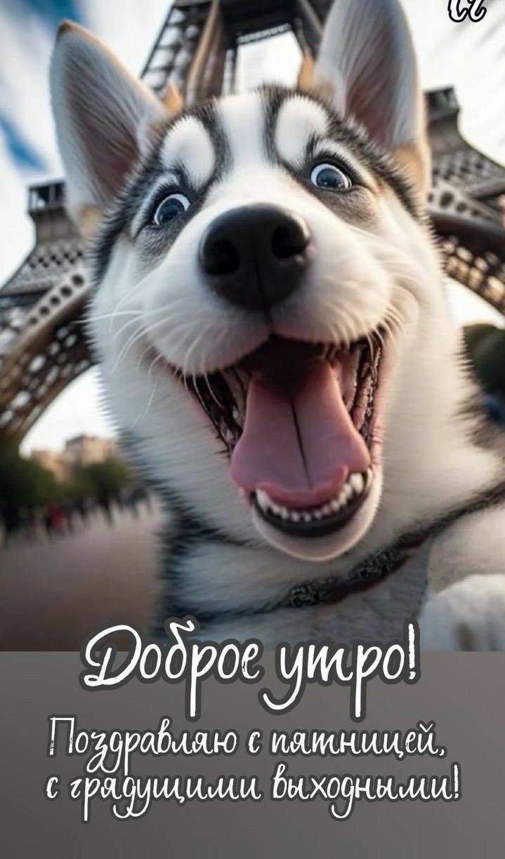 Доброе утро! Поздравляю с пятницей, с грядущими выходными!