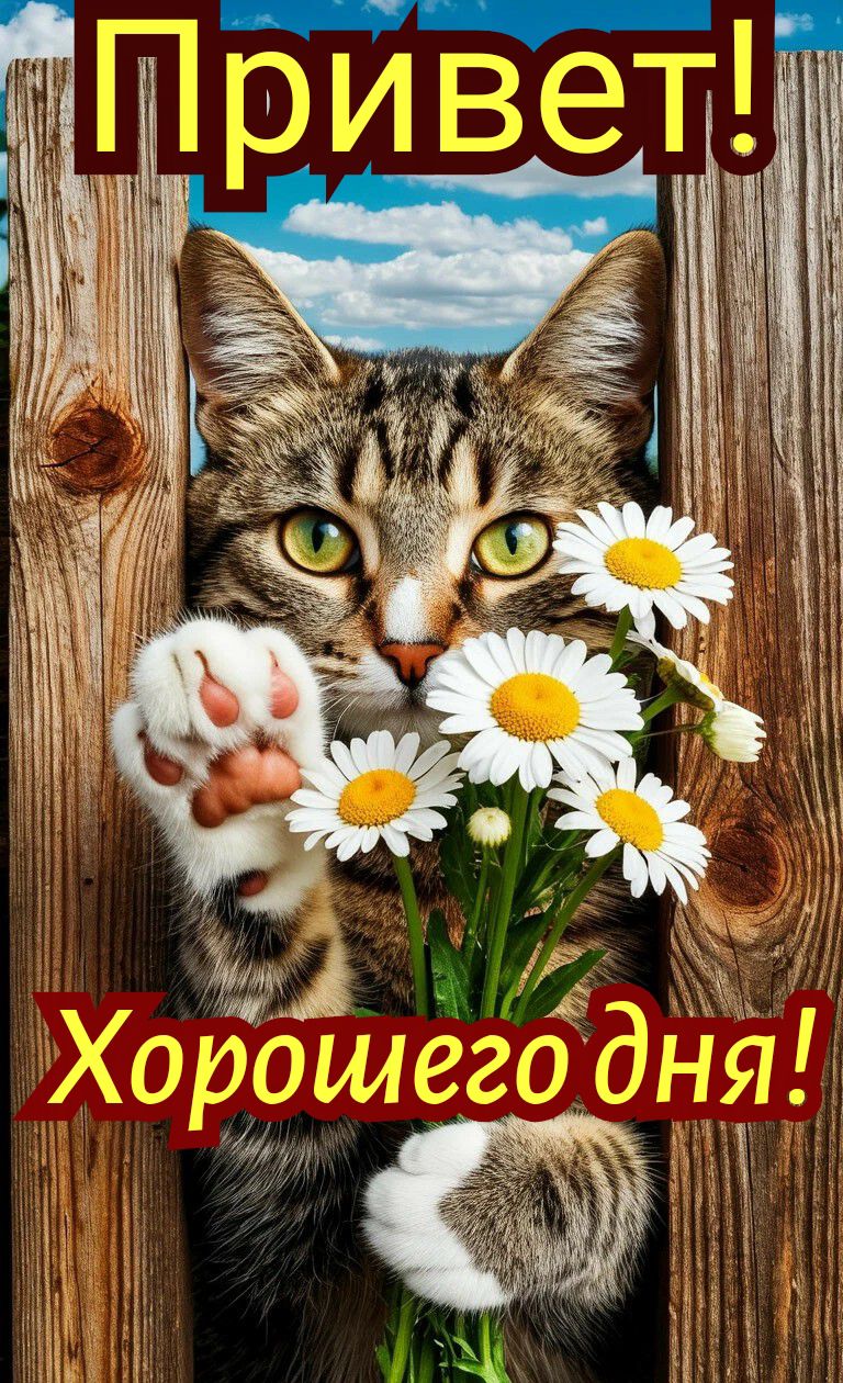 Привет! Хорошего дня!