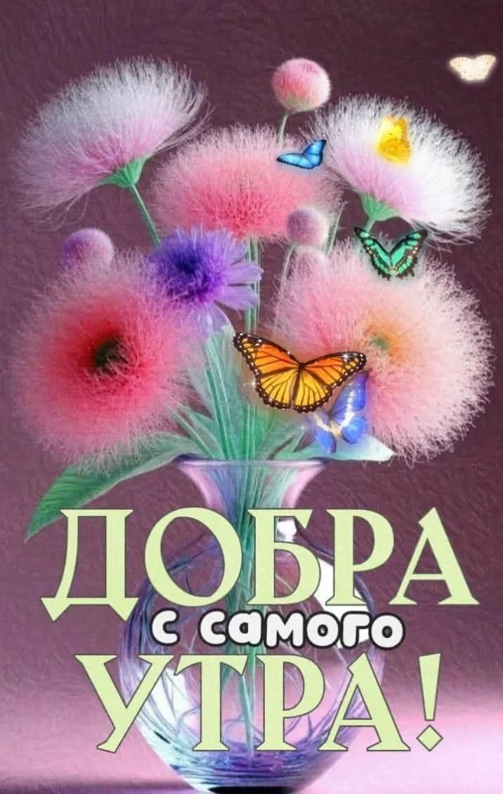 ДОБРА с самого УТРА!