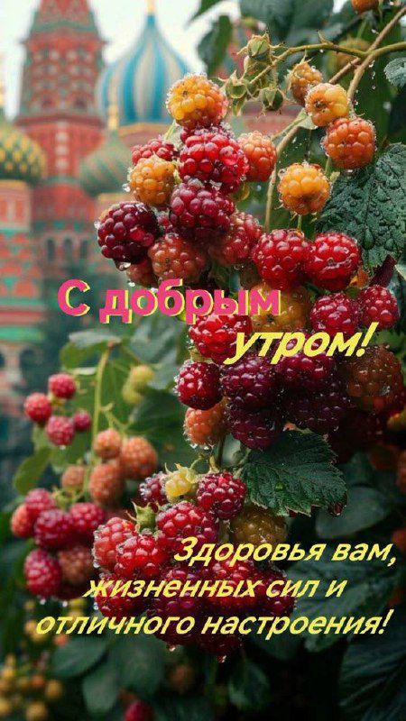 С добрым утром!
Здоровья вам, жизненных сил и отличного настроения!