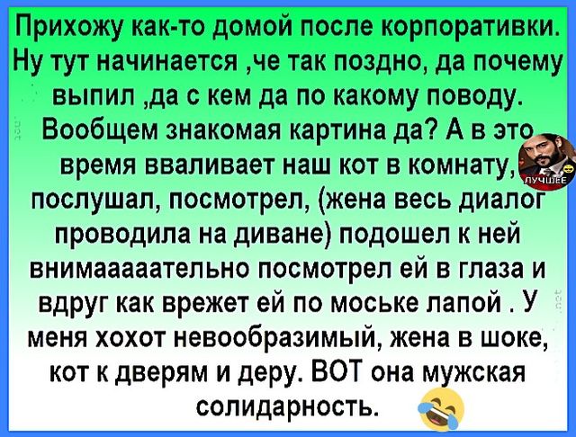 Прихожу как‑то домой после корпоратики. Ну тут начинается: что так поздно, да почему выпил, да с кем да по какому поводу. Вообщем знакомая картина. А в это время вваливает наш кот в комнату, послушал, посмотрел, жена весь диалог проводила на диване, подошёл к ней внимательно, посмотрел ей в глаза и вдруг как врежет ей по моське лапой. У меня хохот невообразимый, жена в шоке, кот к дверям и деру. Вот она мужская солидарность.