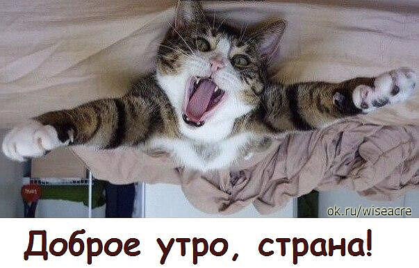 Доброе утро страна