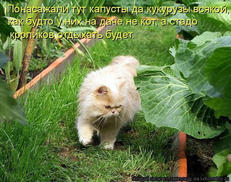 _щ на штанг Щ
