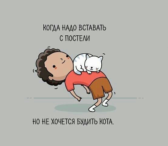 КОГАА НАДО ВСТАВАТЬ С ПОСТЕАИ НО НЕ ХОЧЕТСЯ БУАИТЬ КОТА