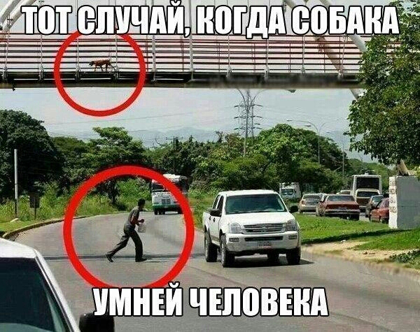 ___ кчвповвнд