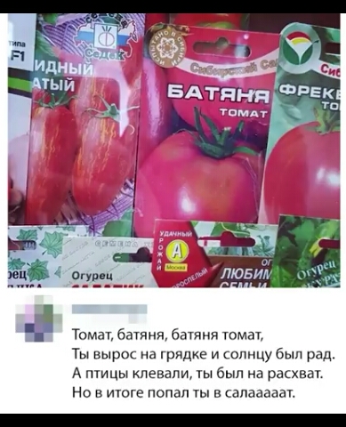 Томат батяня батяня томат Ты вырос на грядке и солнцу был рад А птицы леаапи ты был на рават Но в июге попал ты в алааааат