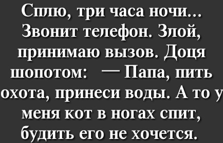 Сплю три часа ночи Звонит телефон Злой принимаю вызов Доця шопотом Папа пить охота принеси воды А то у меня кот в ногах спит будить его не хочется