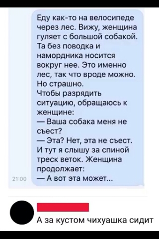 Еду как то на велосипеде через лес Вижу женщина гуляет с большой собакой Та без поводка и намордника носится вокруг нее Это именно пес так что вроде можно не страшно чтобы разрядить ситуацию обращаюсь к женщине Баша собака меня не съест Эта Нет эта не съест И тут я слышу за спиной треск веток Женщина продолжае _ А вот эта может _ А за кустом чихуашка сидит