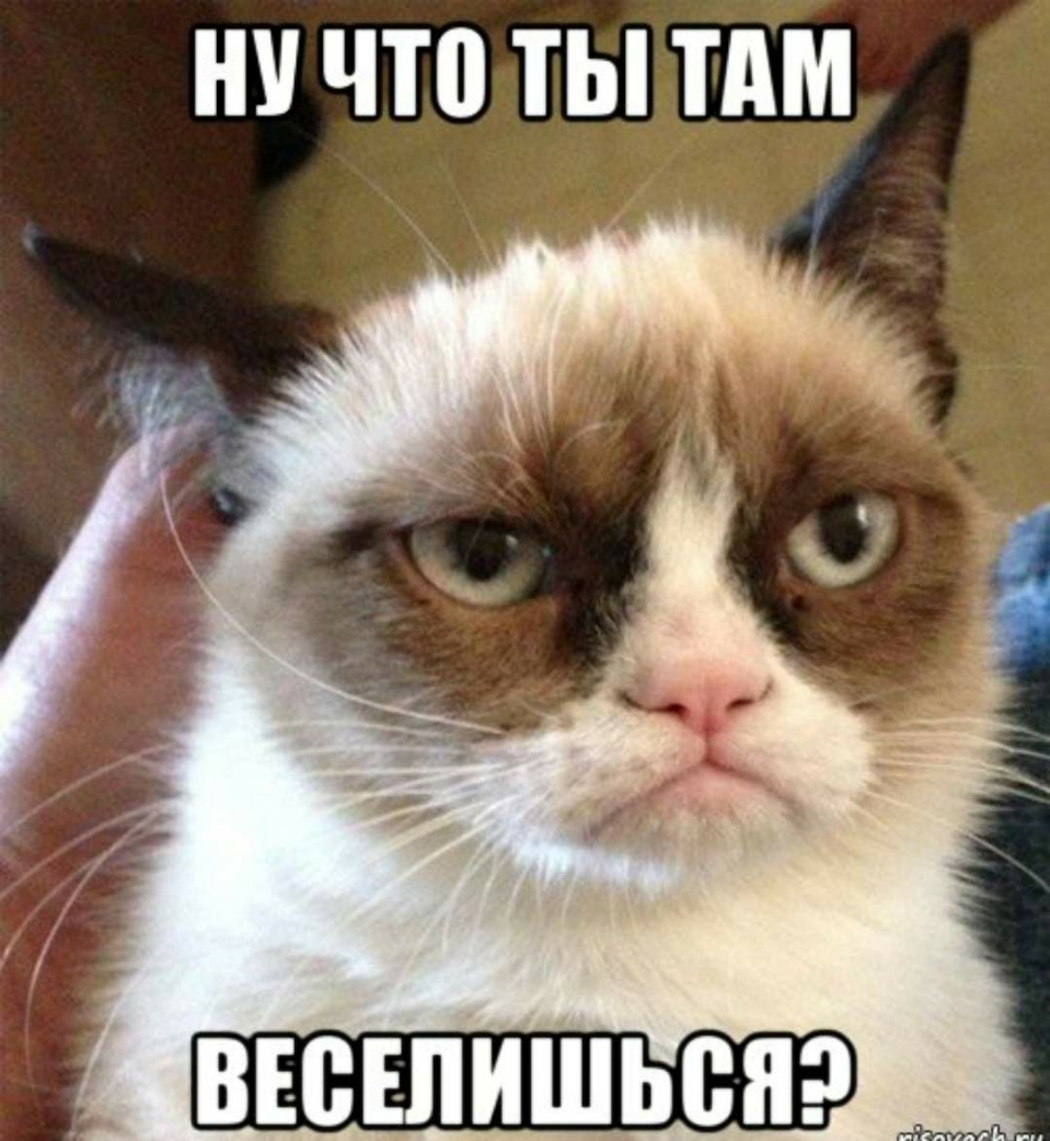 ЧТП ТЫ ТАМ ВЕБЕЛИШЬВЯ