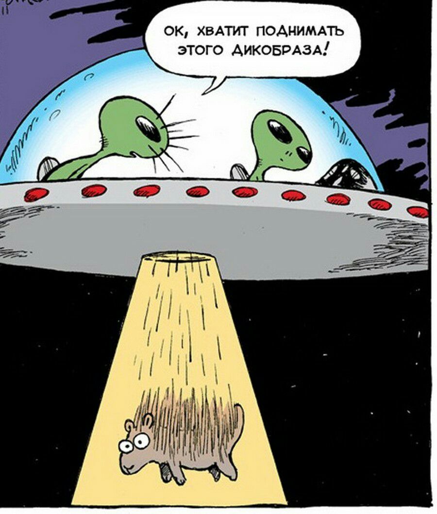 А М и Н А О П в х К 0 этого АИКОБРАЗА