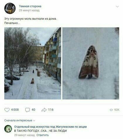 трип и ету игравшую щ и п оппв с вы см ищу тегом ш чвэмюди эмм им судимый ил шум ш