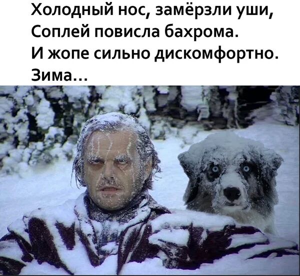 Холодный нос замёрзли уши Соплей повисла бахрома И жопе сильно дискомфортно 3имад
