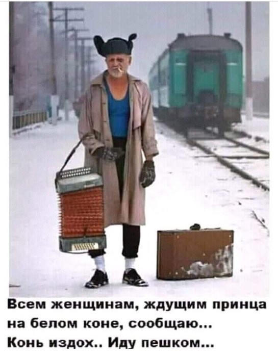 Всем женщинам ждущим принца на белом коне сообщаю Конь вздох Иду пешком