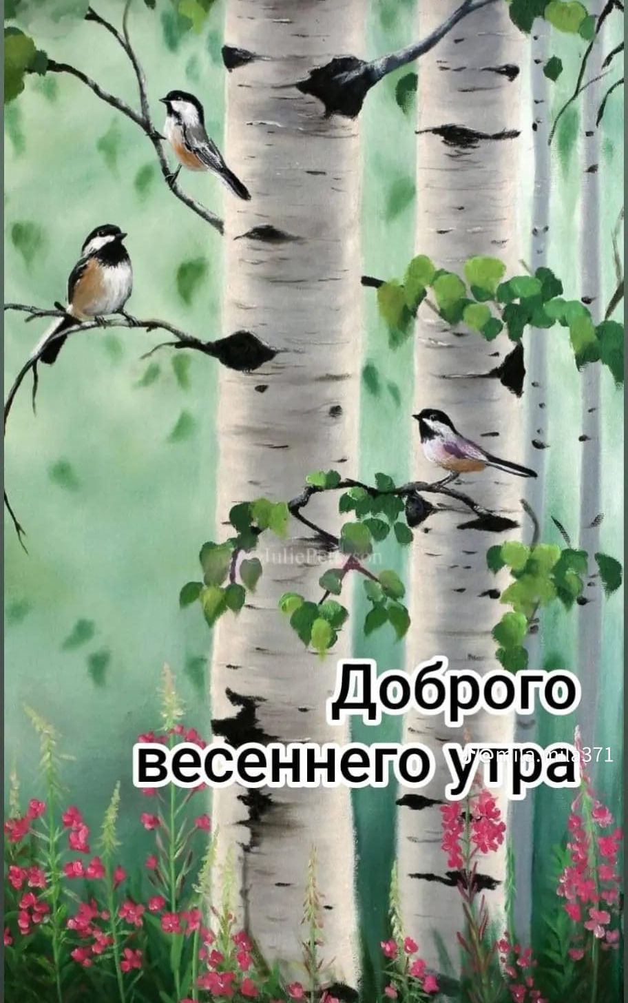 Доброе весеннее утро