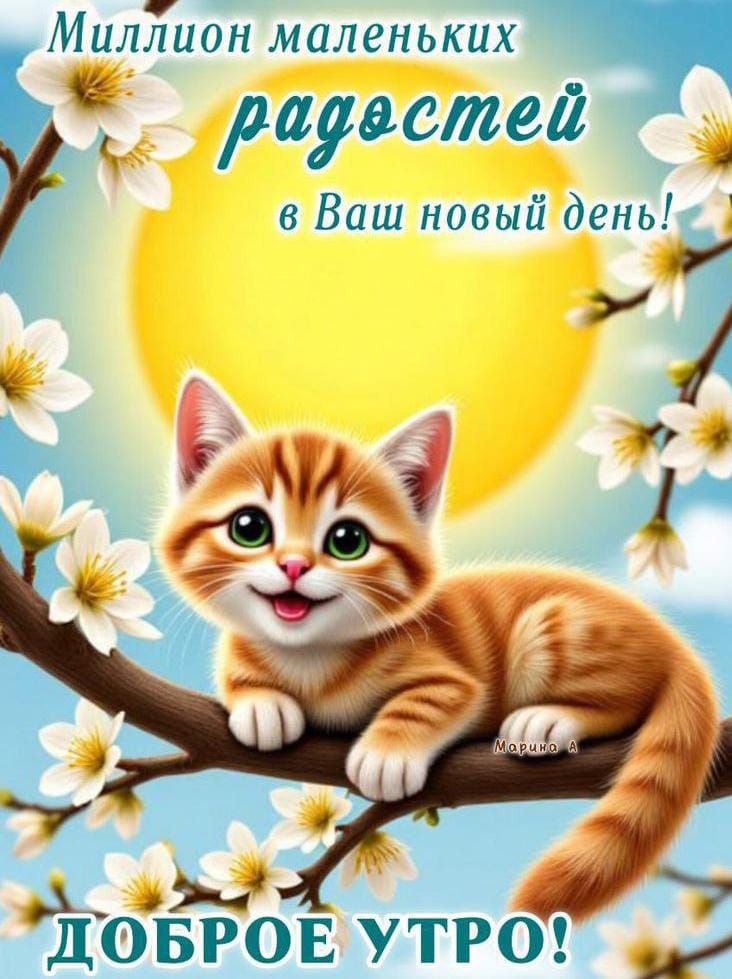 Миллион маленьких радостей в Ваш новый день! ДОБРОЕ УТРО!