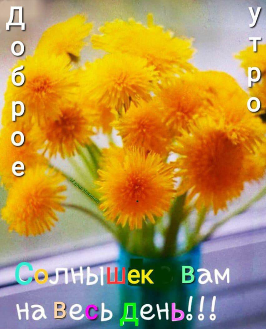 Доброе утро
Солнышек вам на весь день!!!