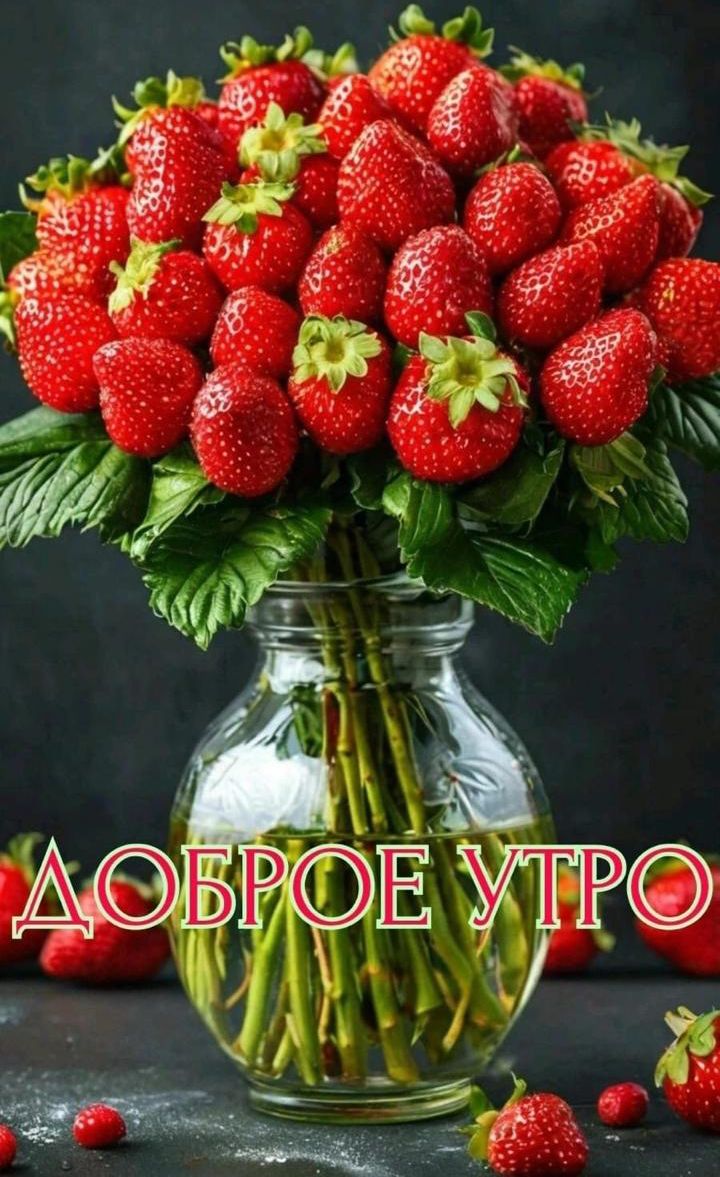 ДОБРОЕ УТРО