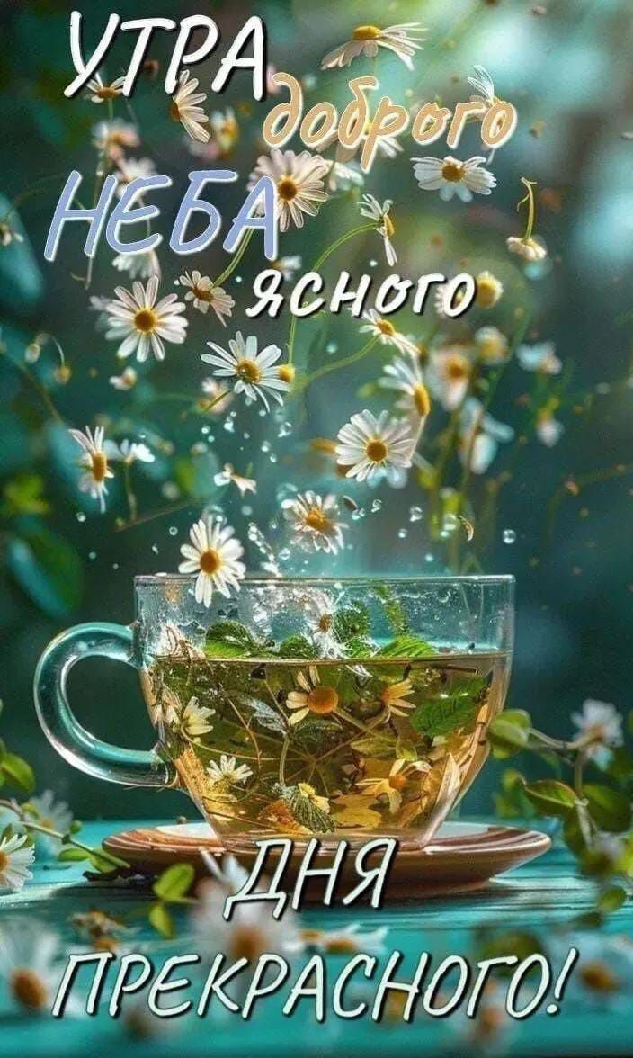 УТРА доброго НЕБА ясного ДНЯ ПРЕКРАСНОГО!