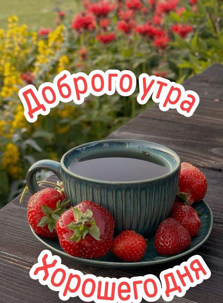 Доброе утро! Хорошего дня