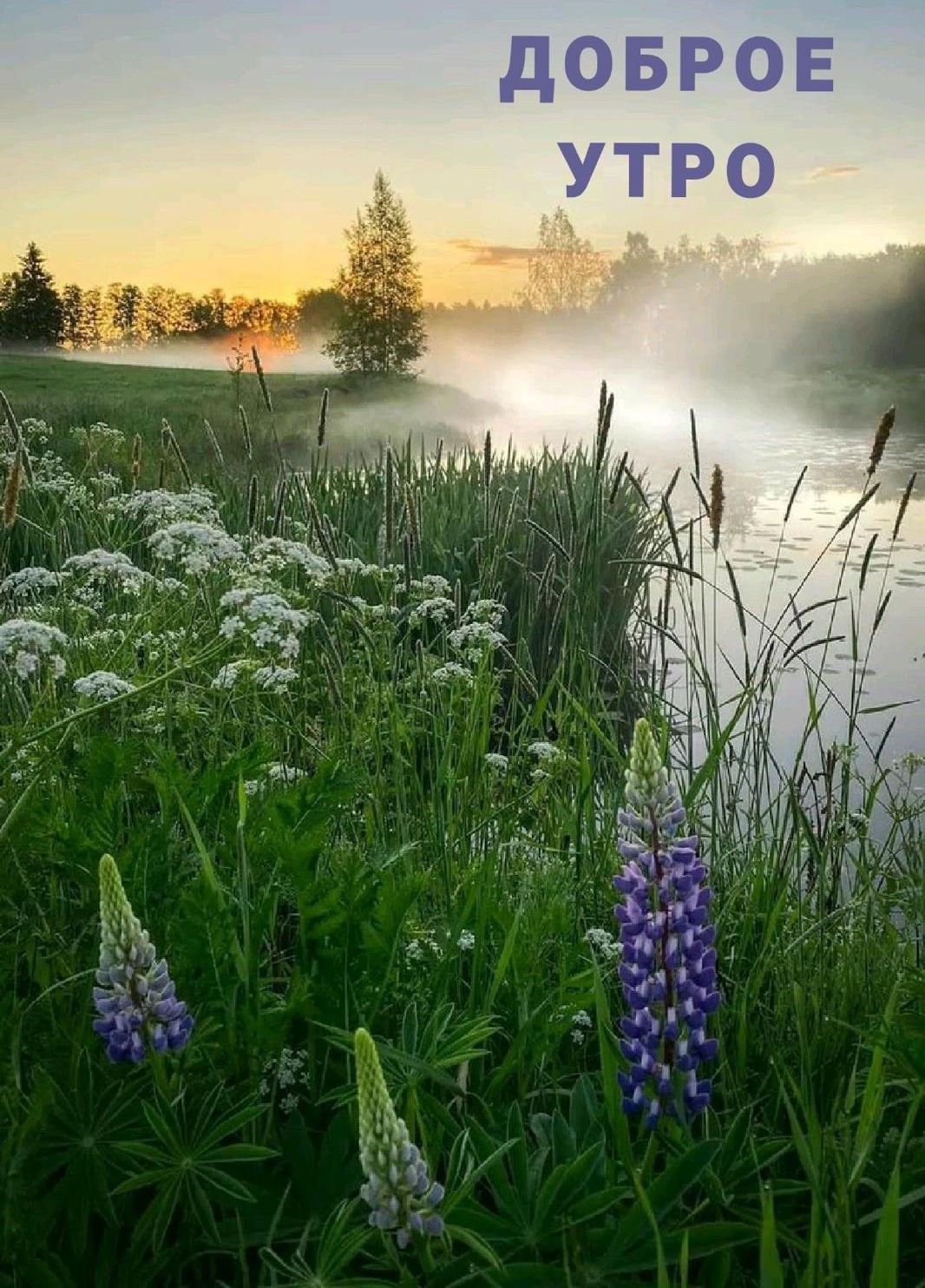 ДОБРОЕ УТРО