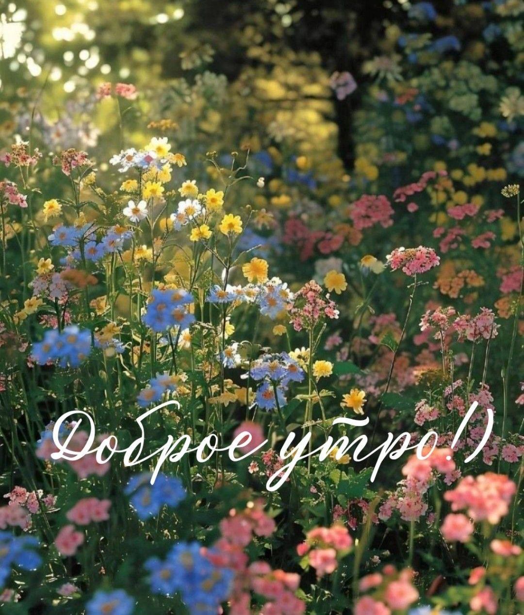 Доброе утро!