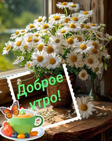 Доброе утро!
