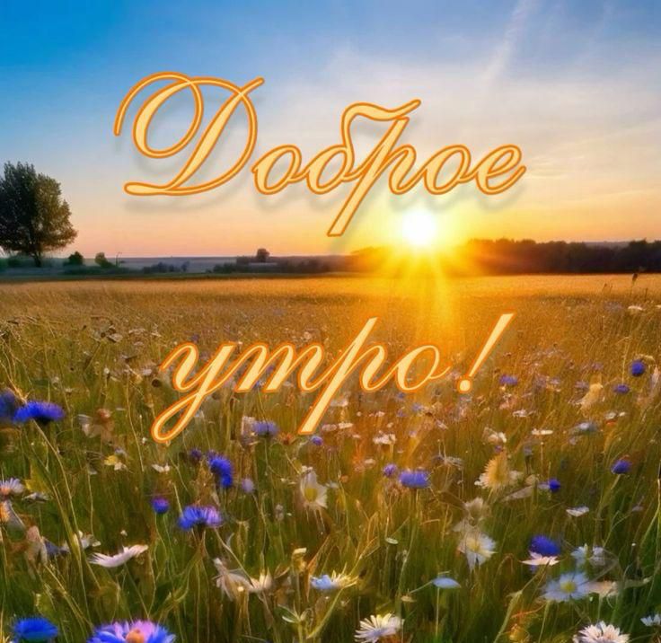 Доброе утро!