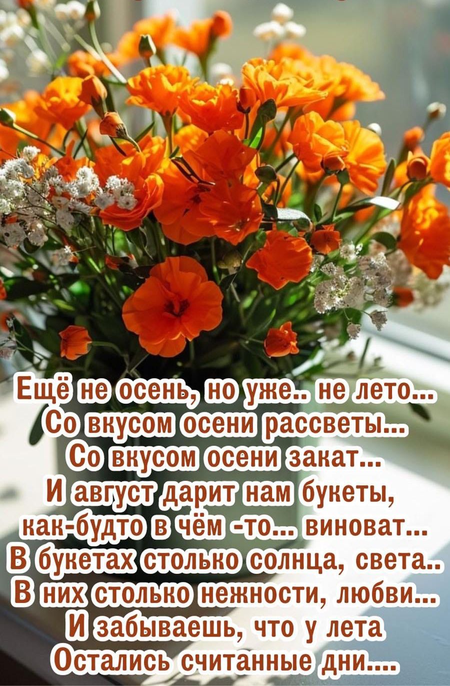 Ещё не осень, но уже.. не лето... Со вкусом осени рассветы... Со вкусом осени закат... И август дарит нам букеты, как-будто в чём -то... виноват... В букетах столько солнца, света... В них столько нежности, любви... И забываешь, что у лето Остались счётные дни...