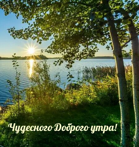 Чудесного Доброе утро!
