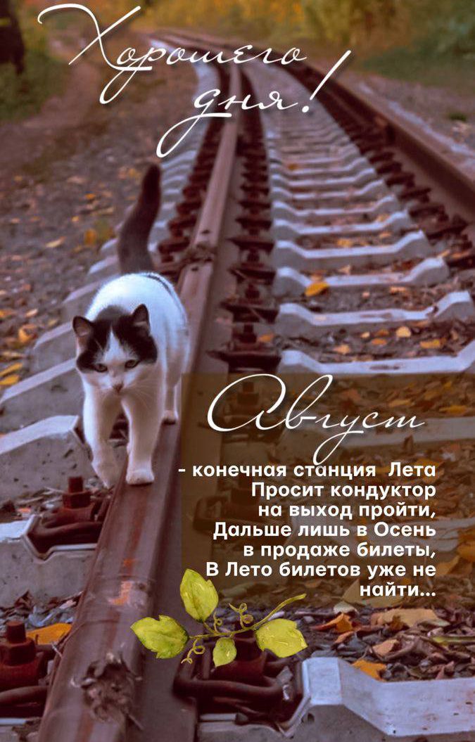 Хорошего дня!

Август
- конечная станция Лета
Просит кондуктор
на выход пройти,
Дальше лишь в Осень
в продаже билеты,
В Лето билетов уже не найти...